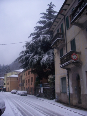  Image name: molino capodanno  2009 303 (119).jpg 
 width: 301 pixel 
 height: 400 pixel 
 Size: 95989 bytes 
 Click to enlarge 